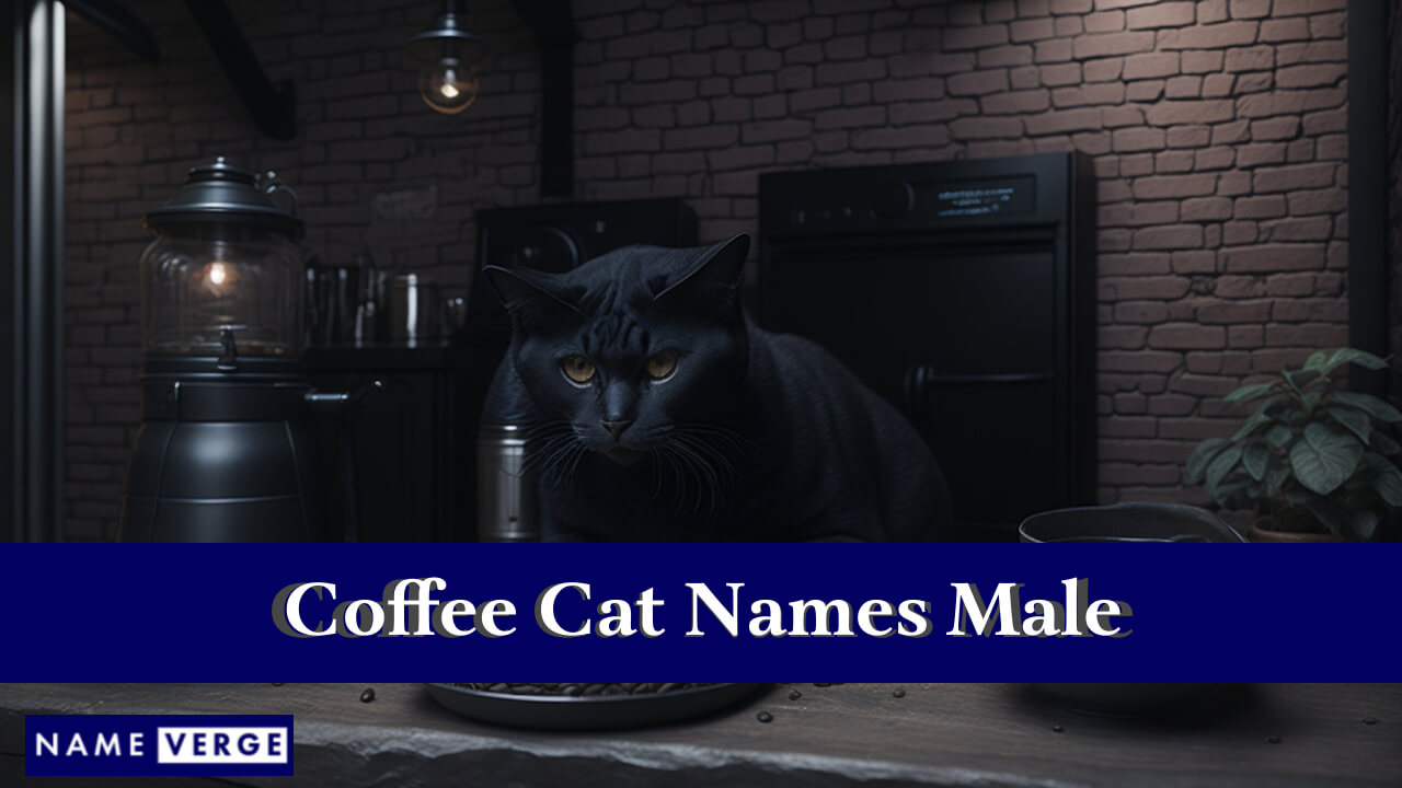 Coffee Cat Names Male