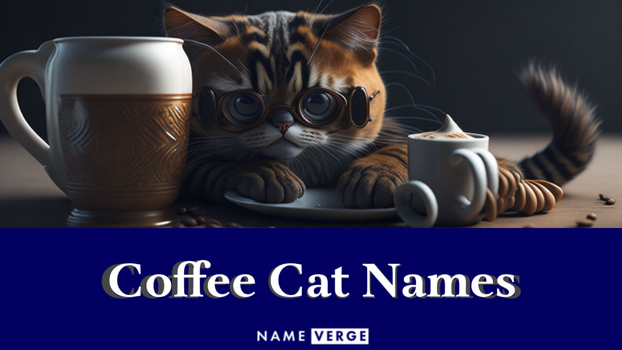 Coffee Cat Names: 232+ Coffee-Inspired Names For Cats