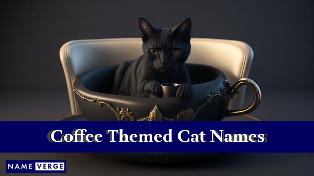 Coffee Themed Cat Names