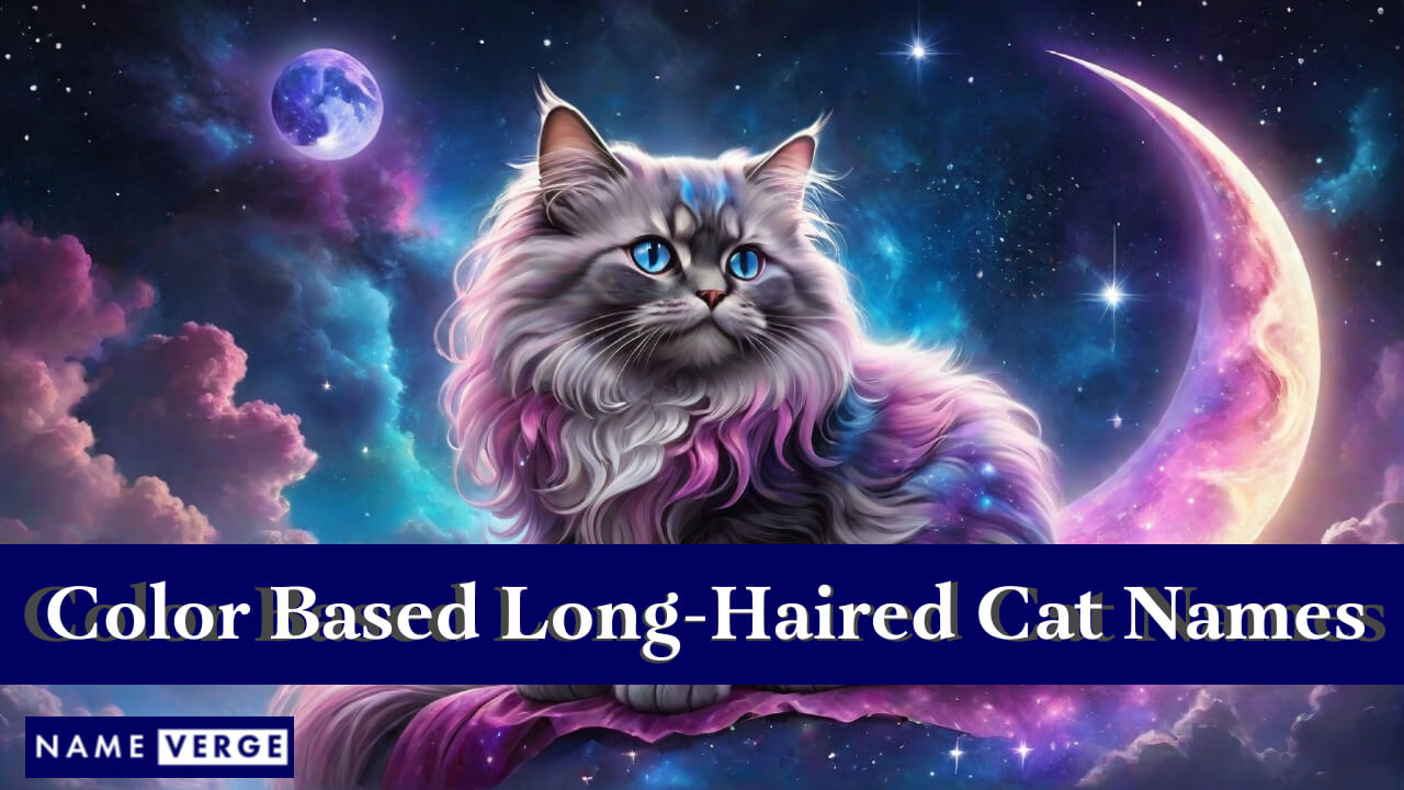 Long-Haired Cat Names Based On Colors