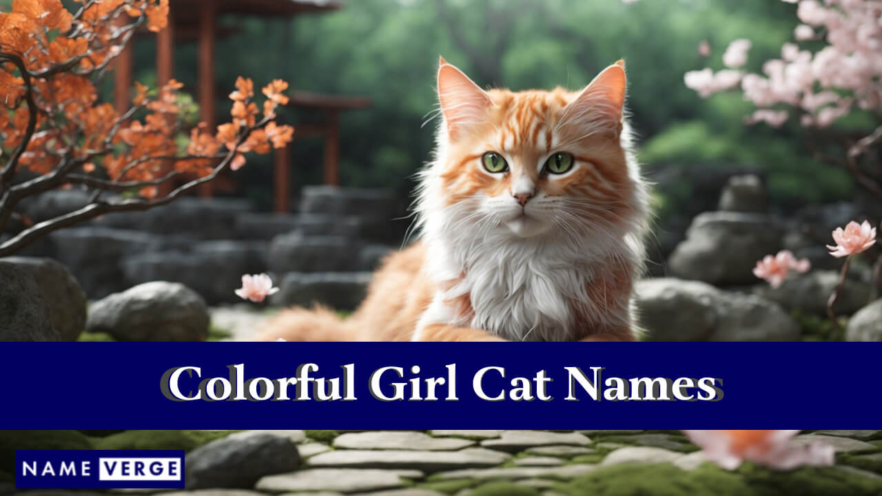 Colorful Girl Cat Names