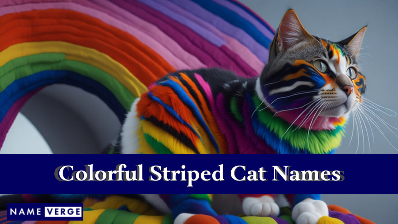 Colorful Striped Cat Names