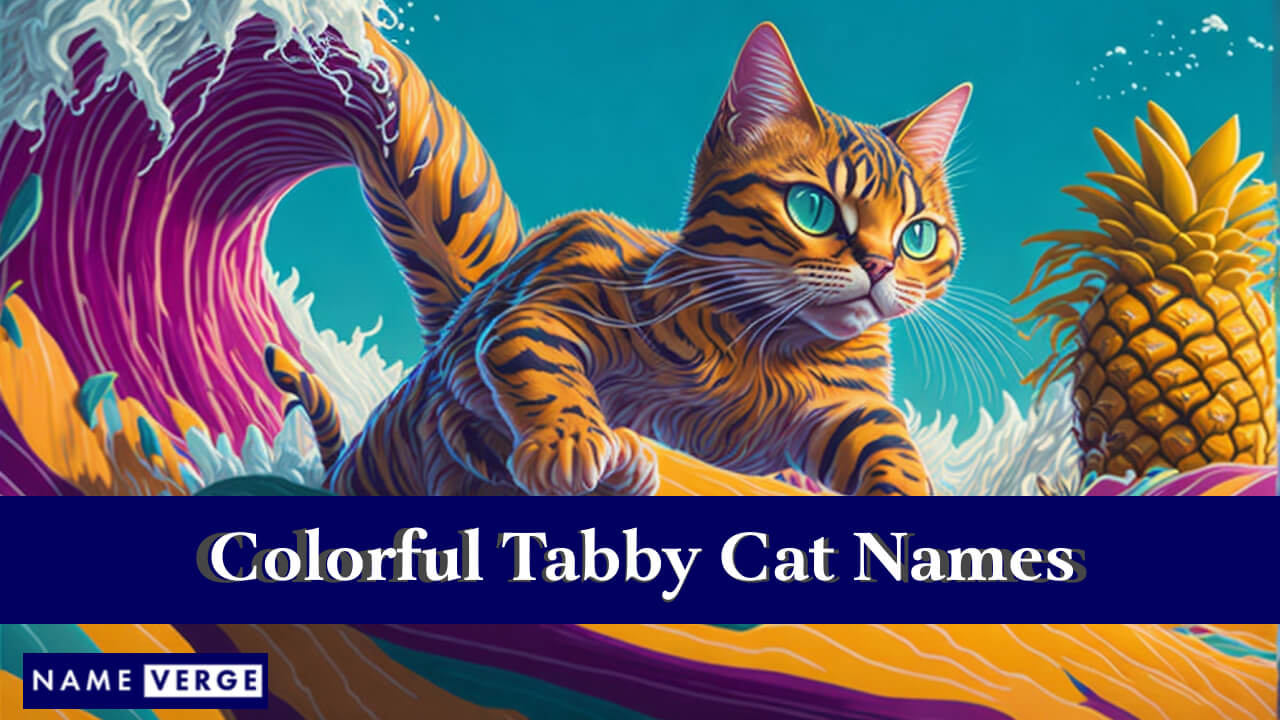 Colorful Tabby Cat Names