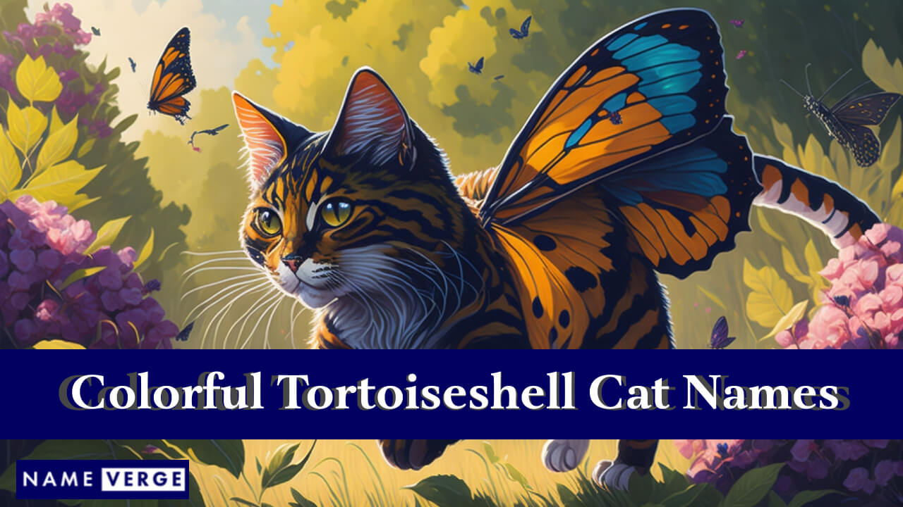 Colorful Tortoiseshell Cat Names