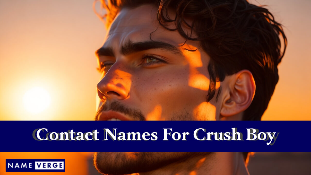 Contact Names For Crush Boys