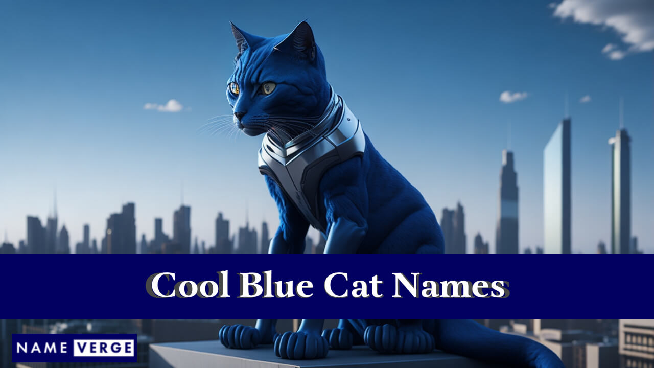 Cool Blue Cat Names