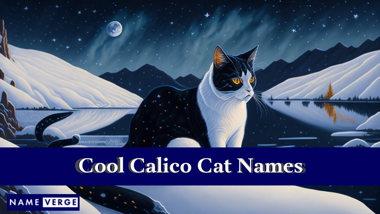 Cool Calico Cat Names