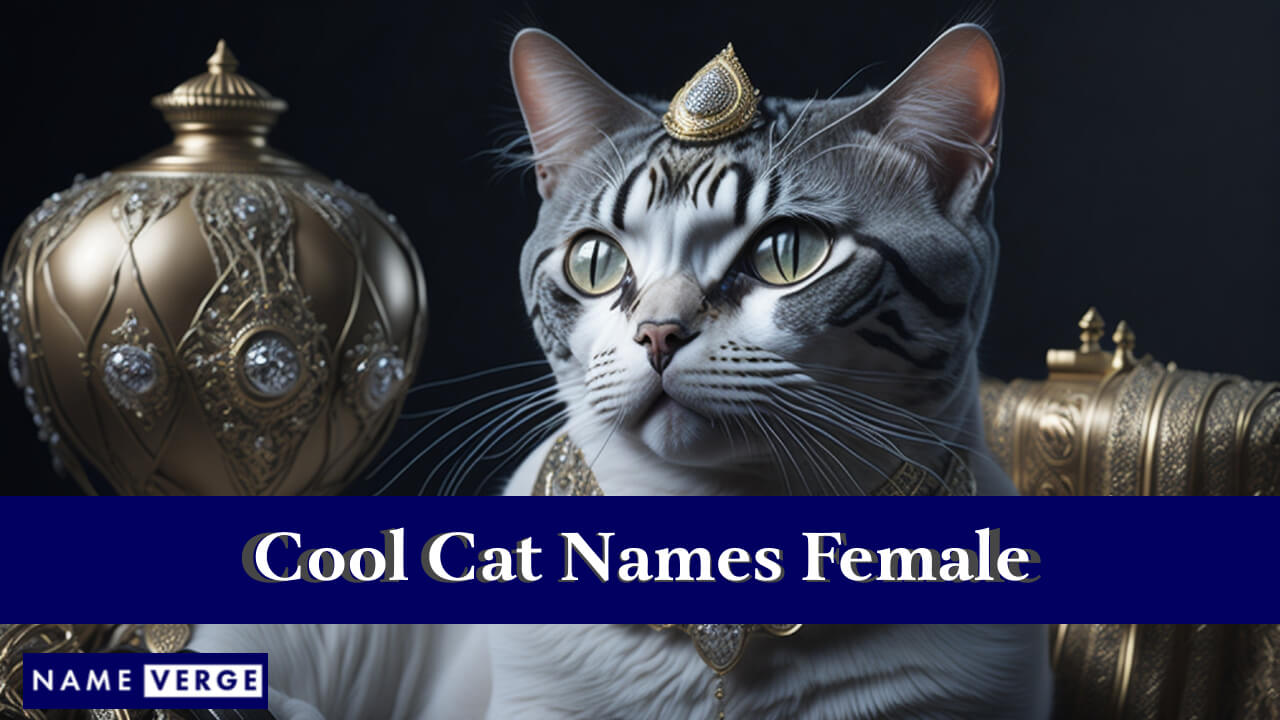 Cool Cat Names Female