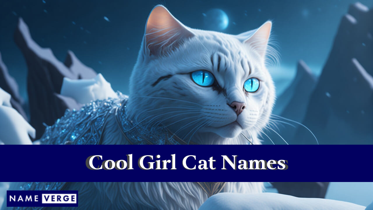 Cool Girl Cat Names