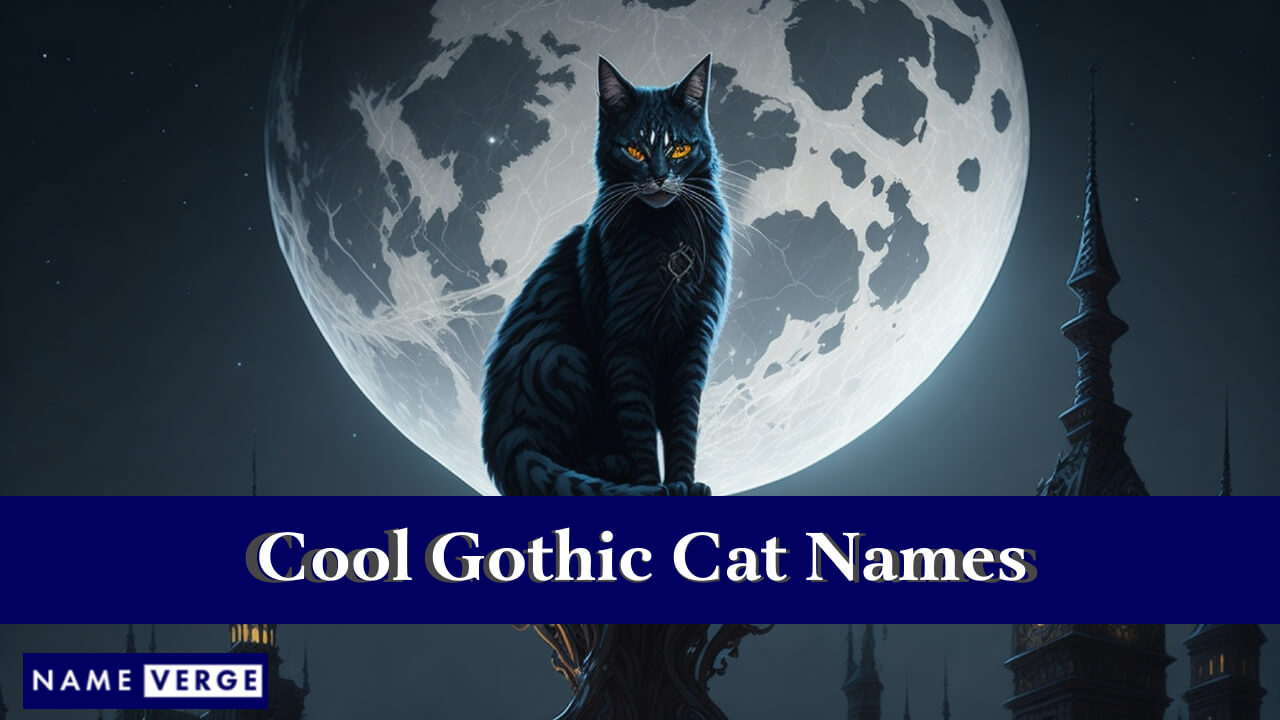 Cool Gothic Cat Names