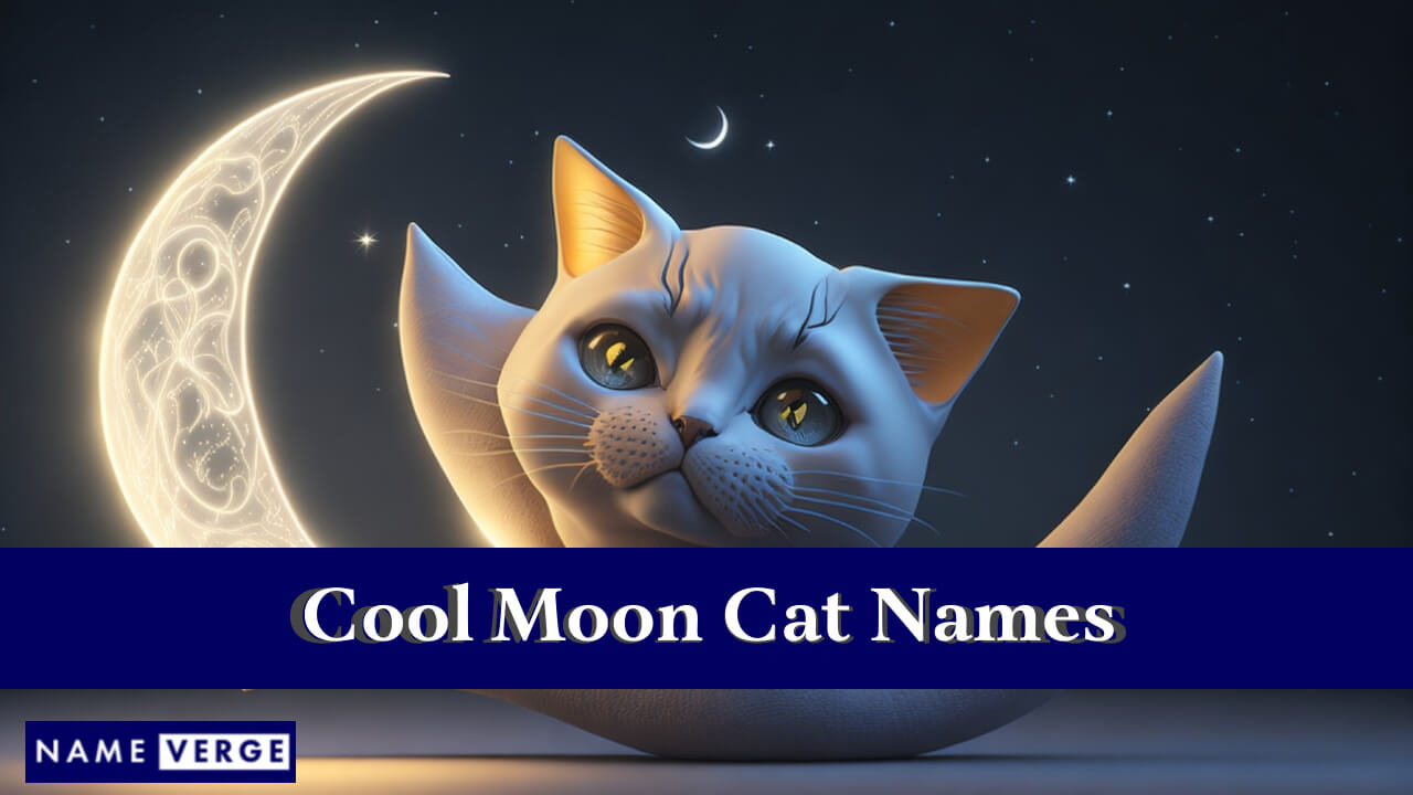 Cool Moon Cat Names