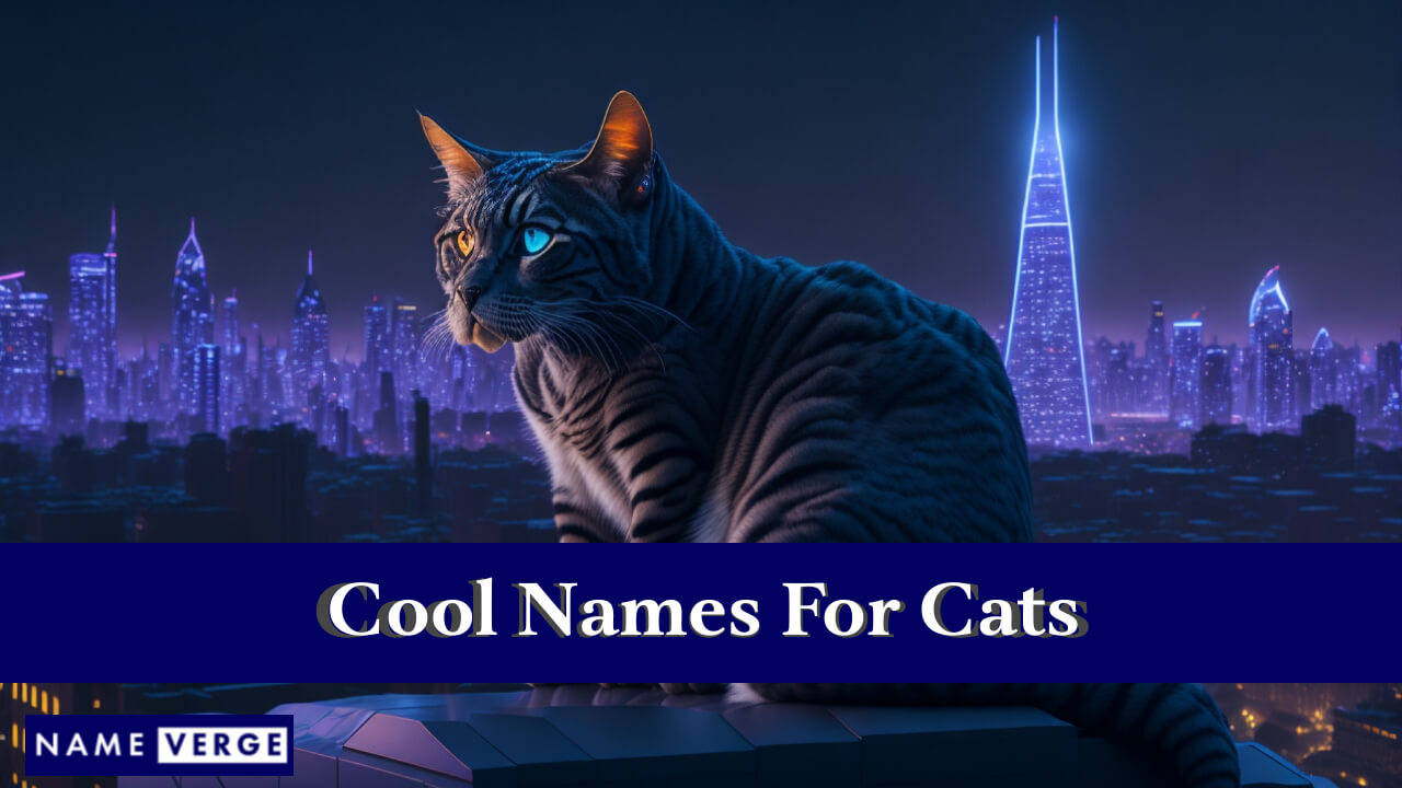 Cool Names For Cats