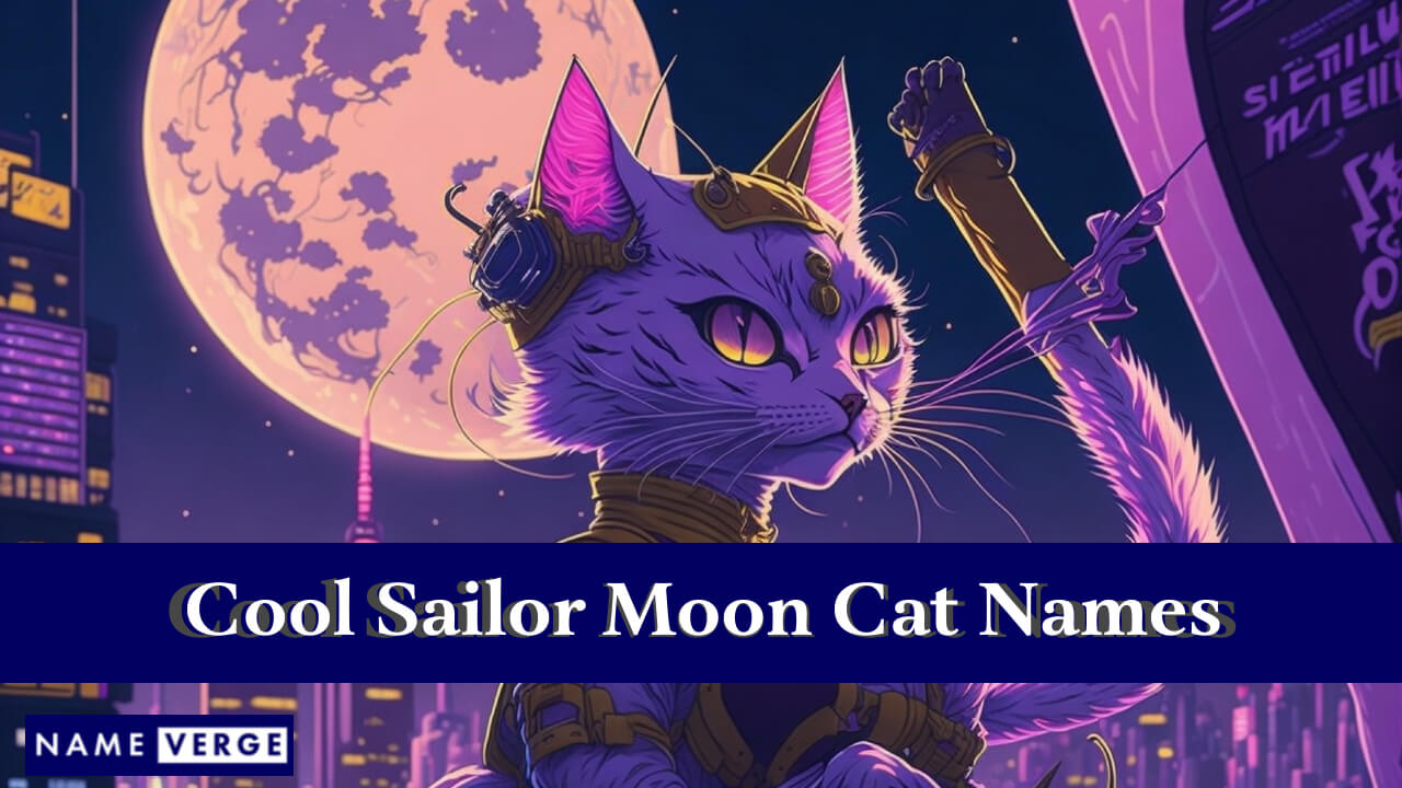 Cool Sailor Moon Cat Names