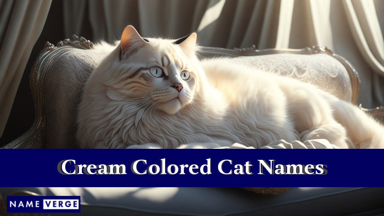 Cream Colored Cat Names