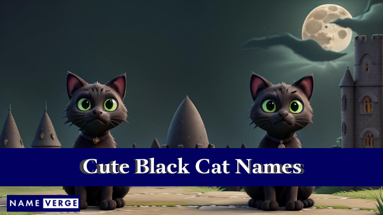 Cute Black Cat Names