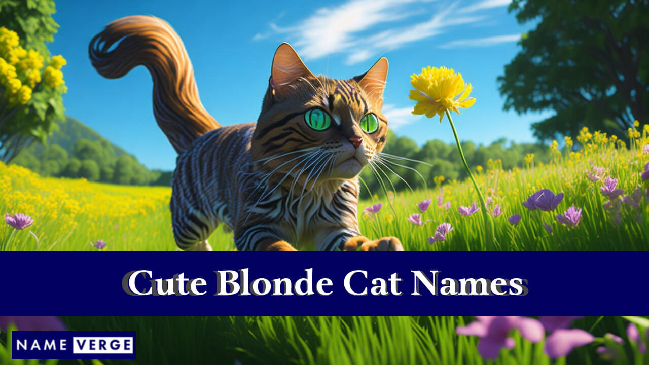 Cute Blonde Cat Names