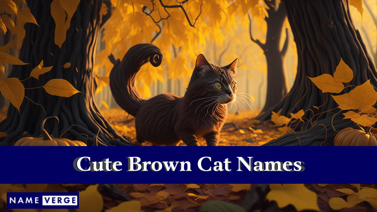 Cute Brown Cat Names