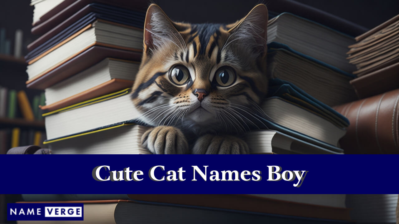 Cute Cat Names Boy