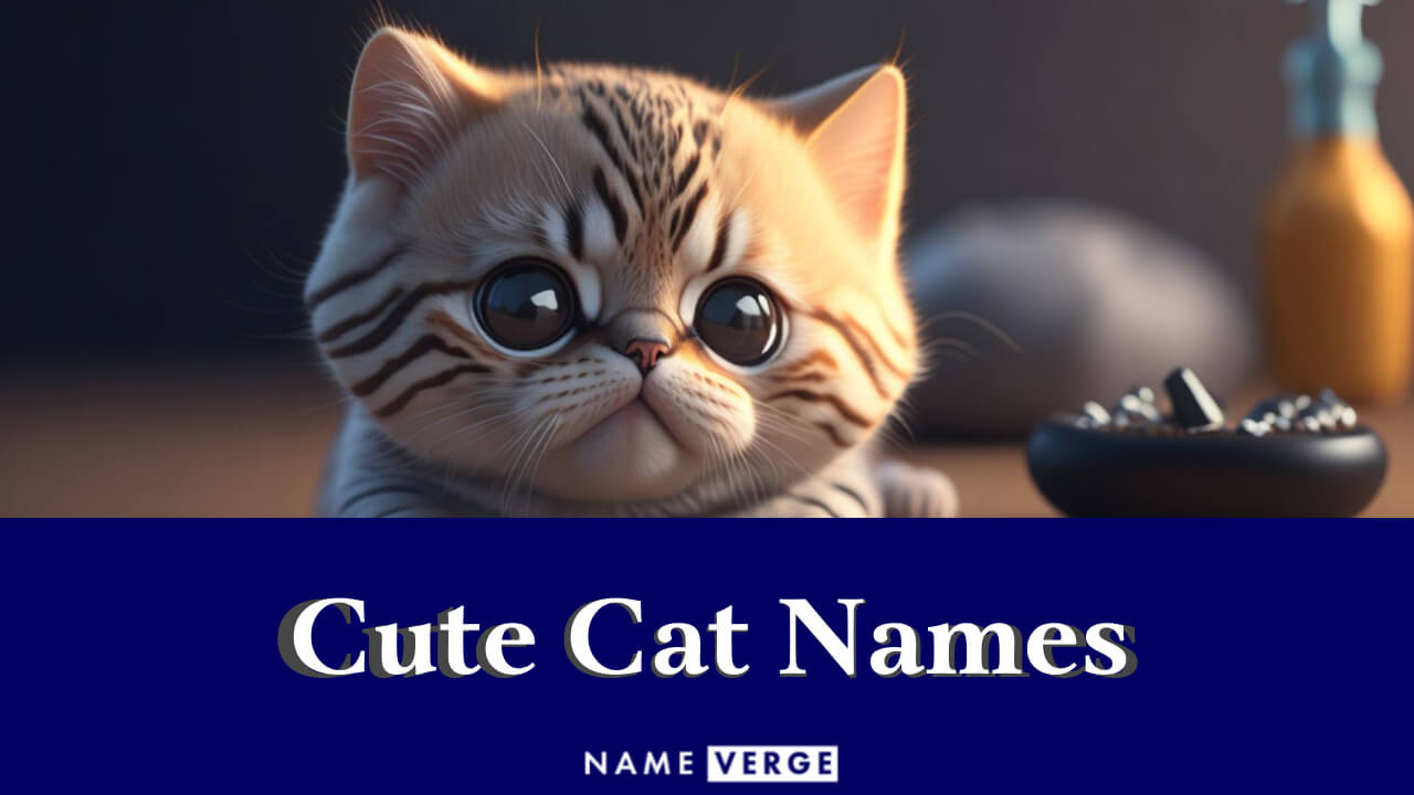 Cute Cat Names: 300+ Cute Names For Your Adorable Kitty