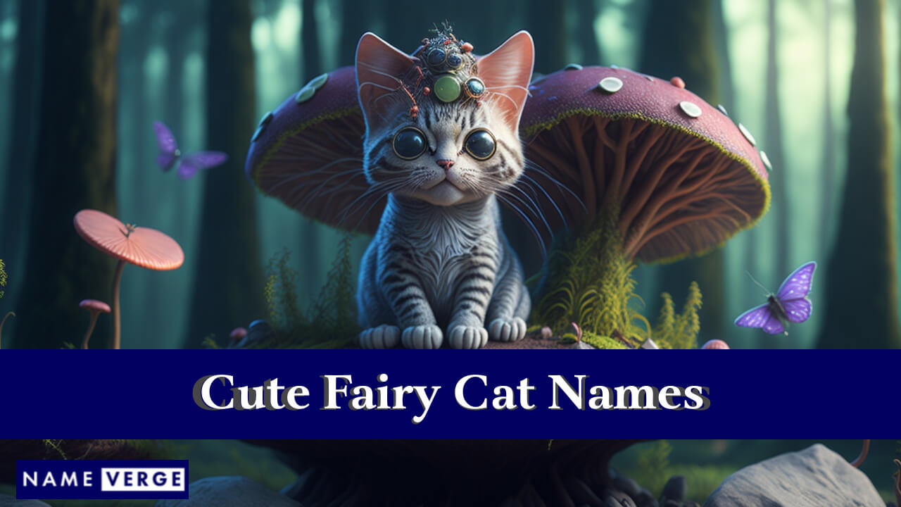 Cute Fairy Cat Names
