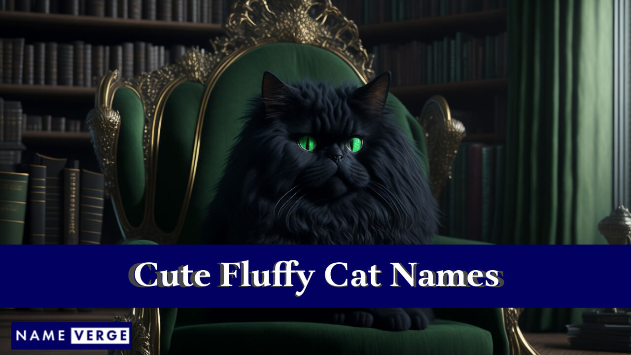 Cute Fluffy Cat Names