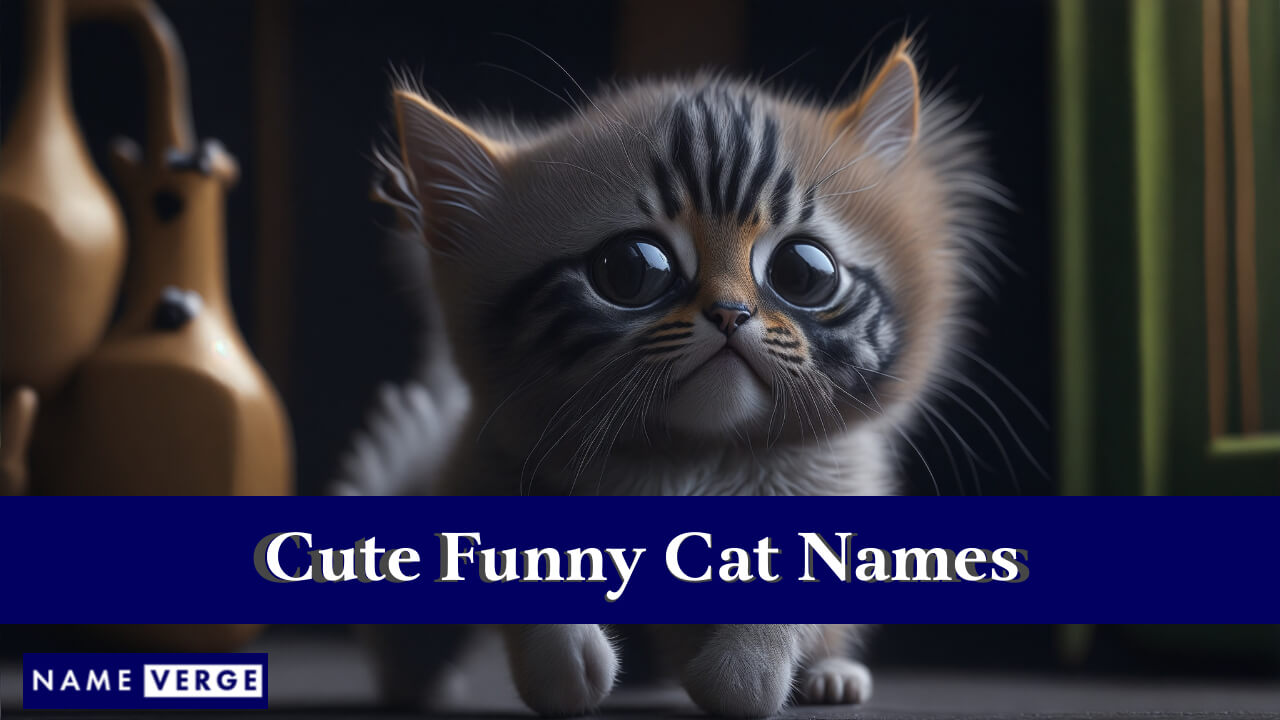 Cute Funny Cat Names