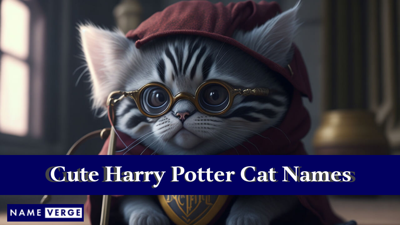 Cute Harry Potter Cat Names