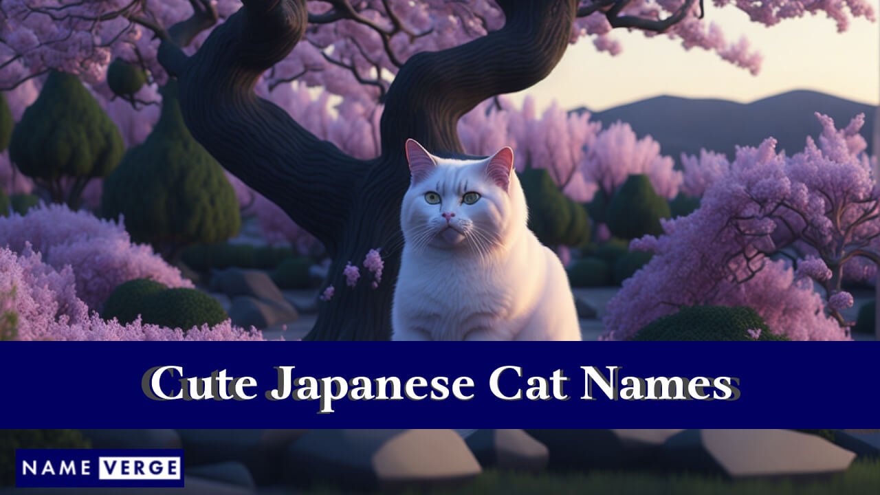 Cute Japanese Cat Names