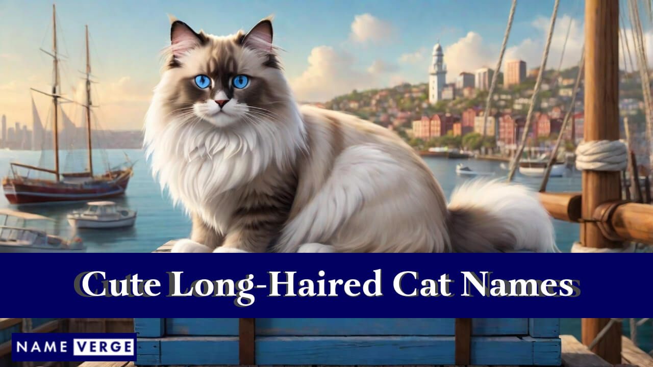 Cute Long-Haired Cat Names