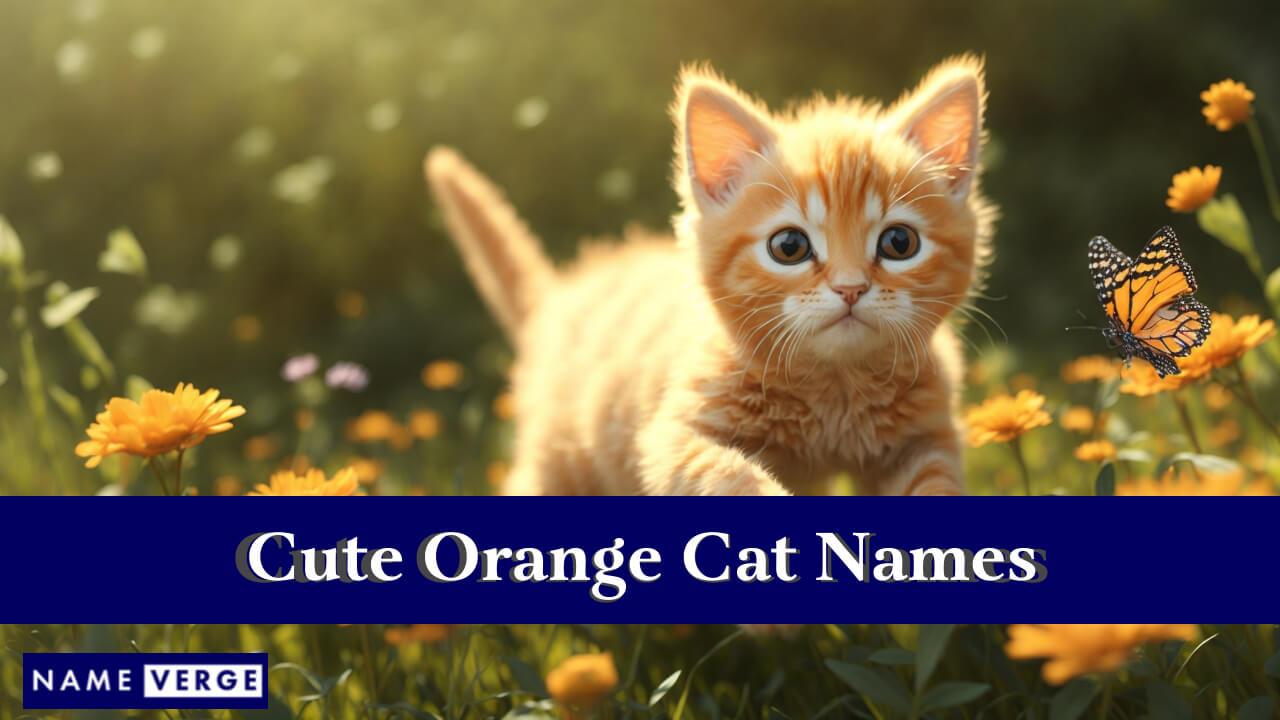 Cute Orange Cat Names