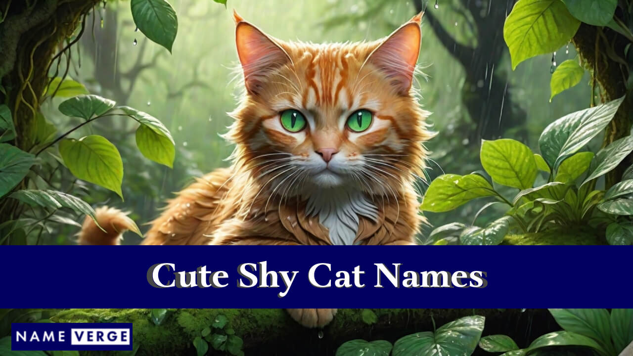 Cute Shy Cat Names