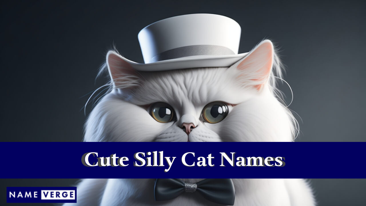 Cute Silly Cat Names