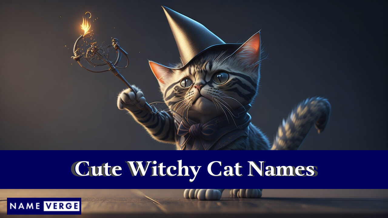 Cute Witchy Cat Names