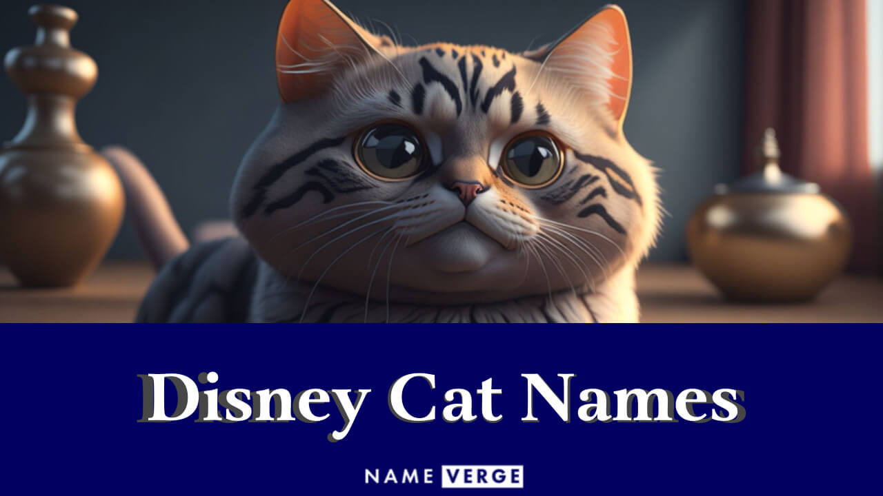 Disney Cat Names: 240 Disney & Pixar Inspired Names For Cats