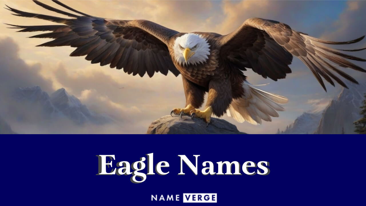 Eagle Names: 595+ Cool Pet Names For These Majestic Birds