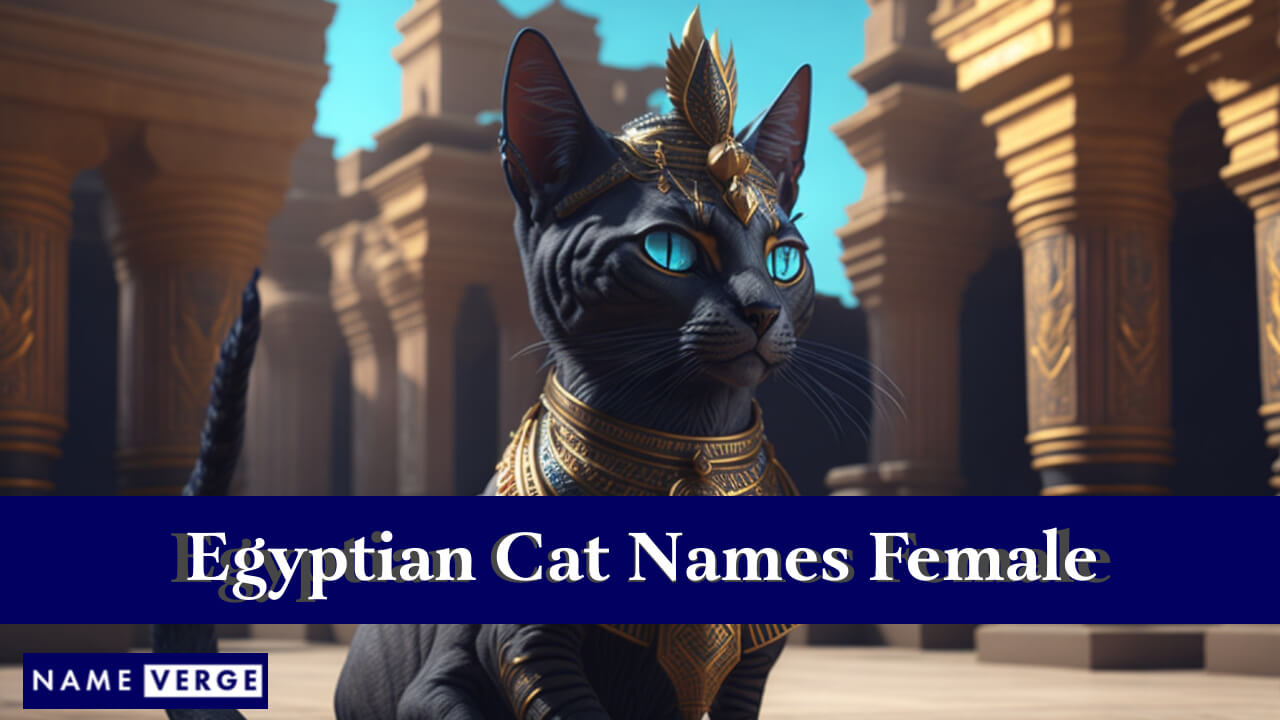 Egyptian Cat Names Female