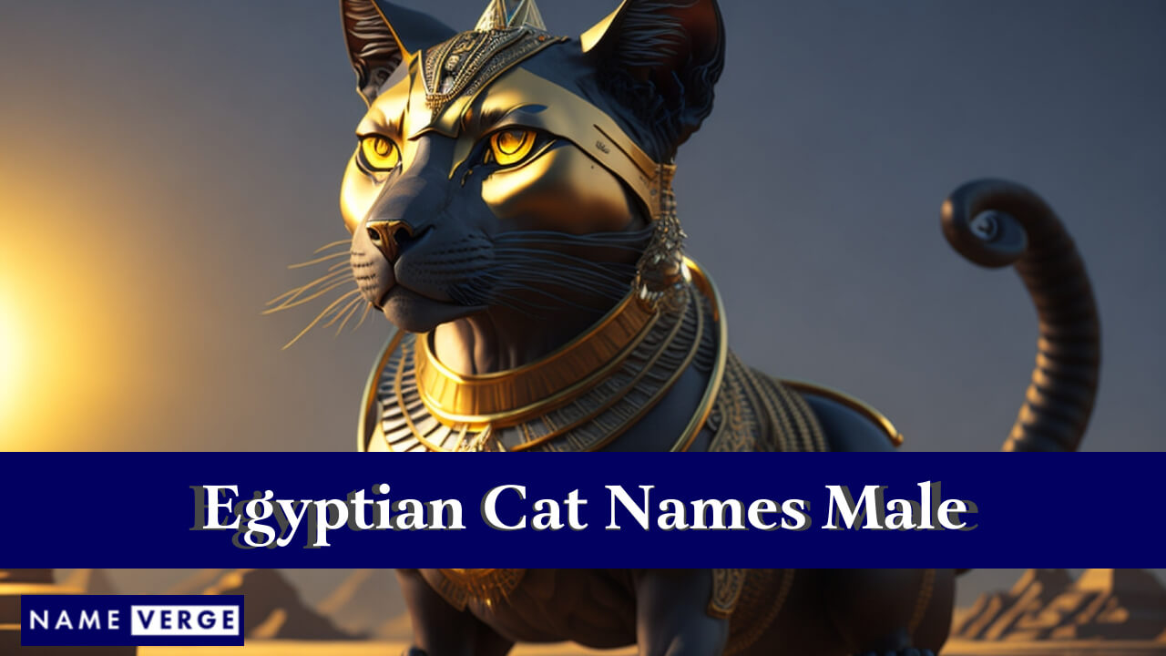 Egyptian Cat Names Male
