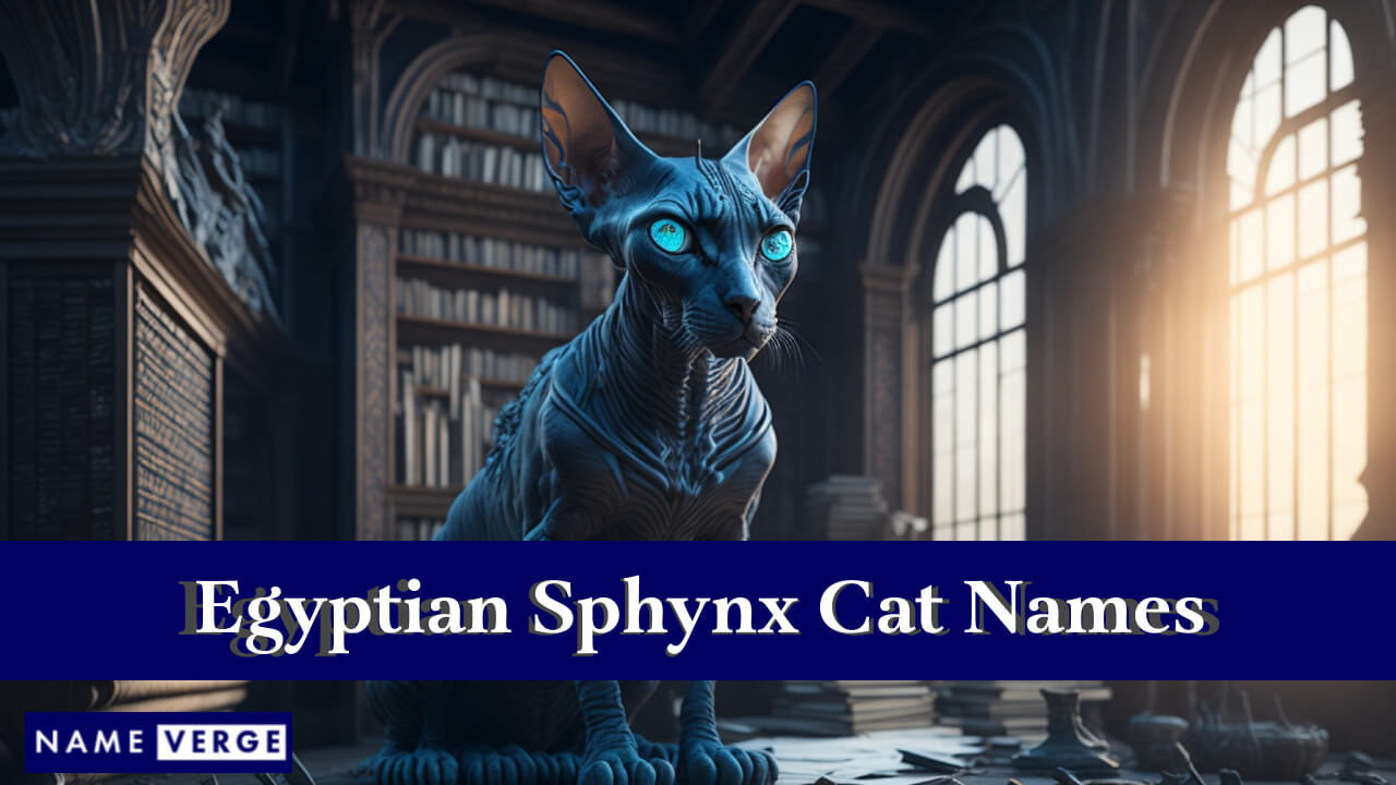 Egyptian Sphynx Cat Names