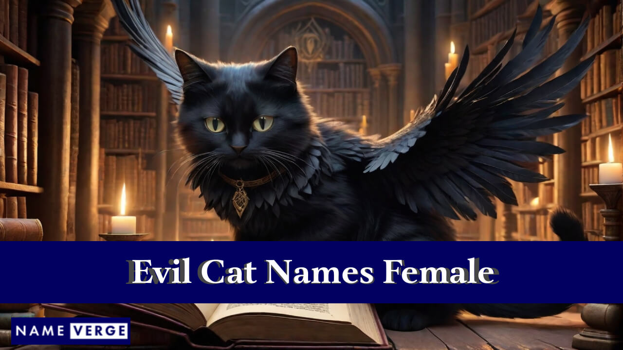 Evil Cat Names Female
