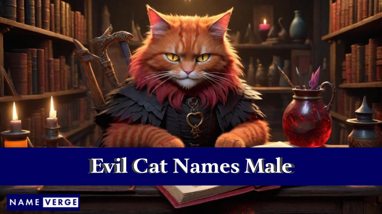 Evil Cat Names Male