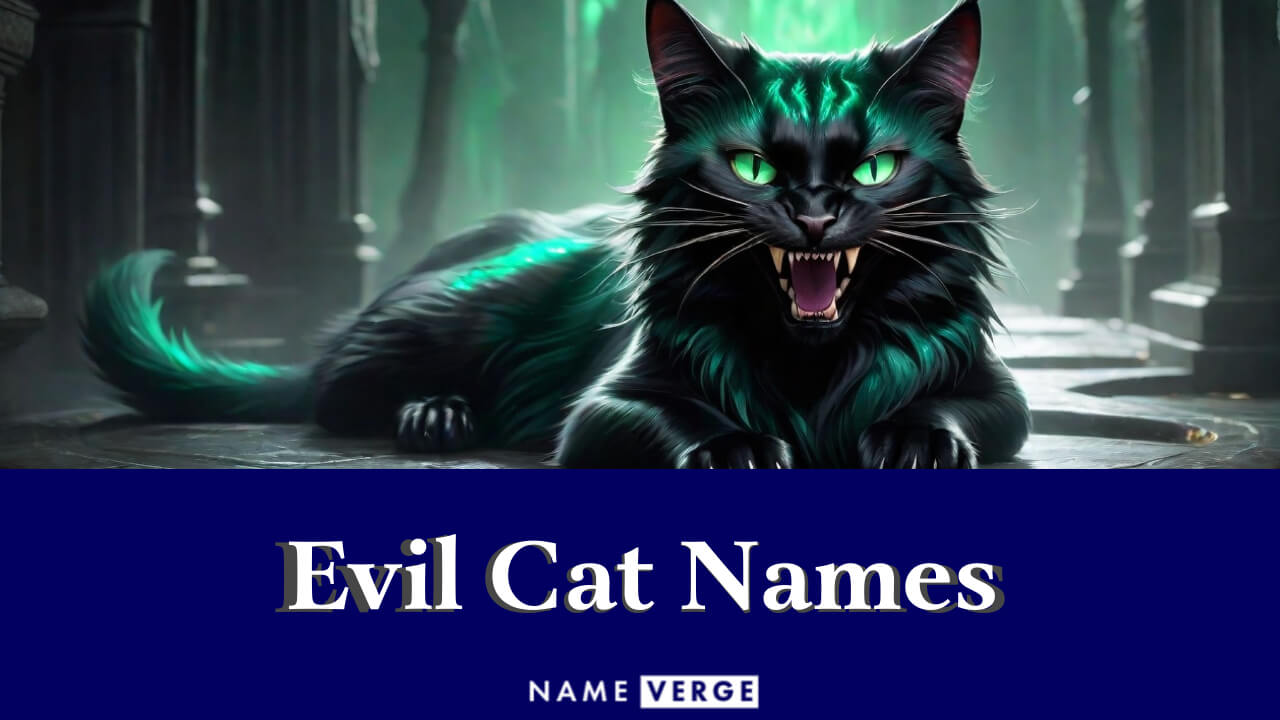 Evil Cat Names: 484+ Funny Names For Your Demon Cat