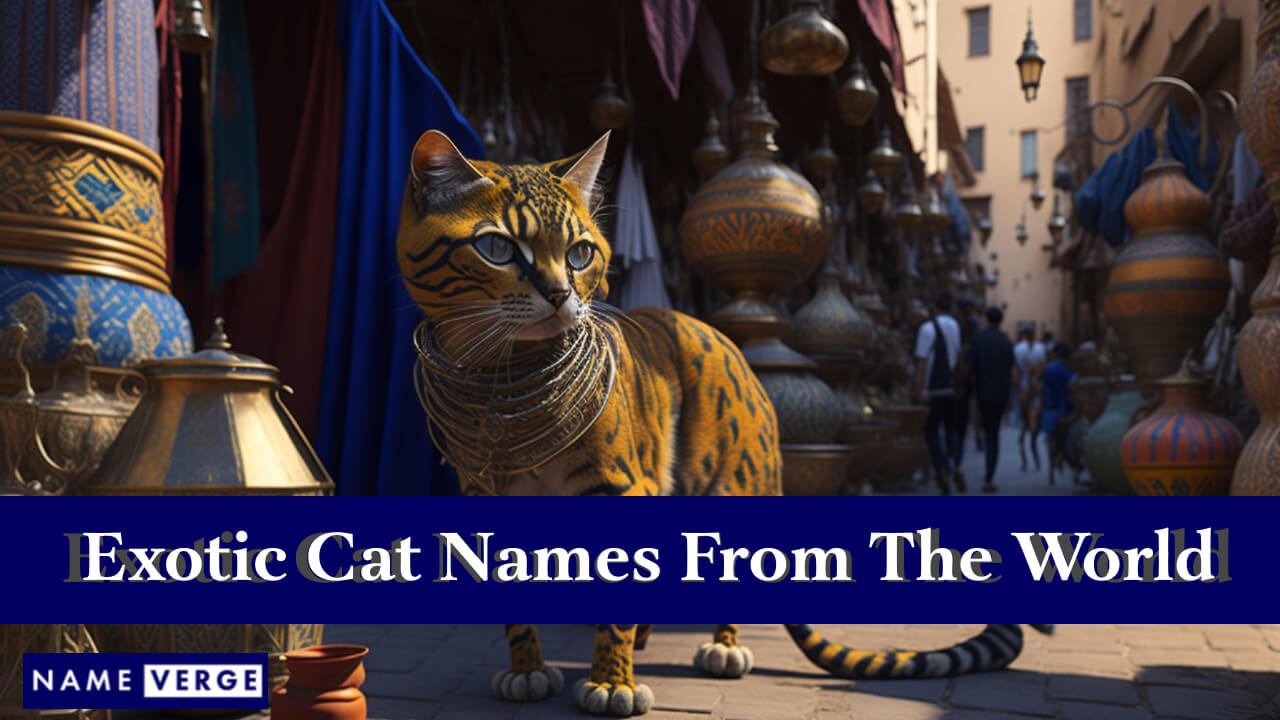 Exotic Cat Names From The World