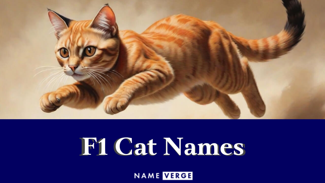 F1 Cat Names: 401+ Funny Formula 1-Inspired Name Ideas