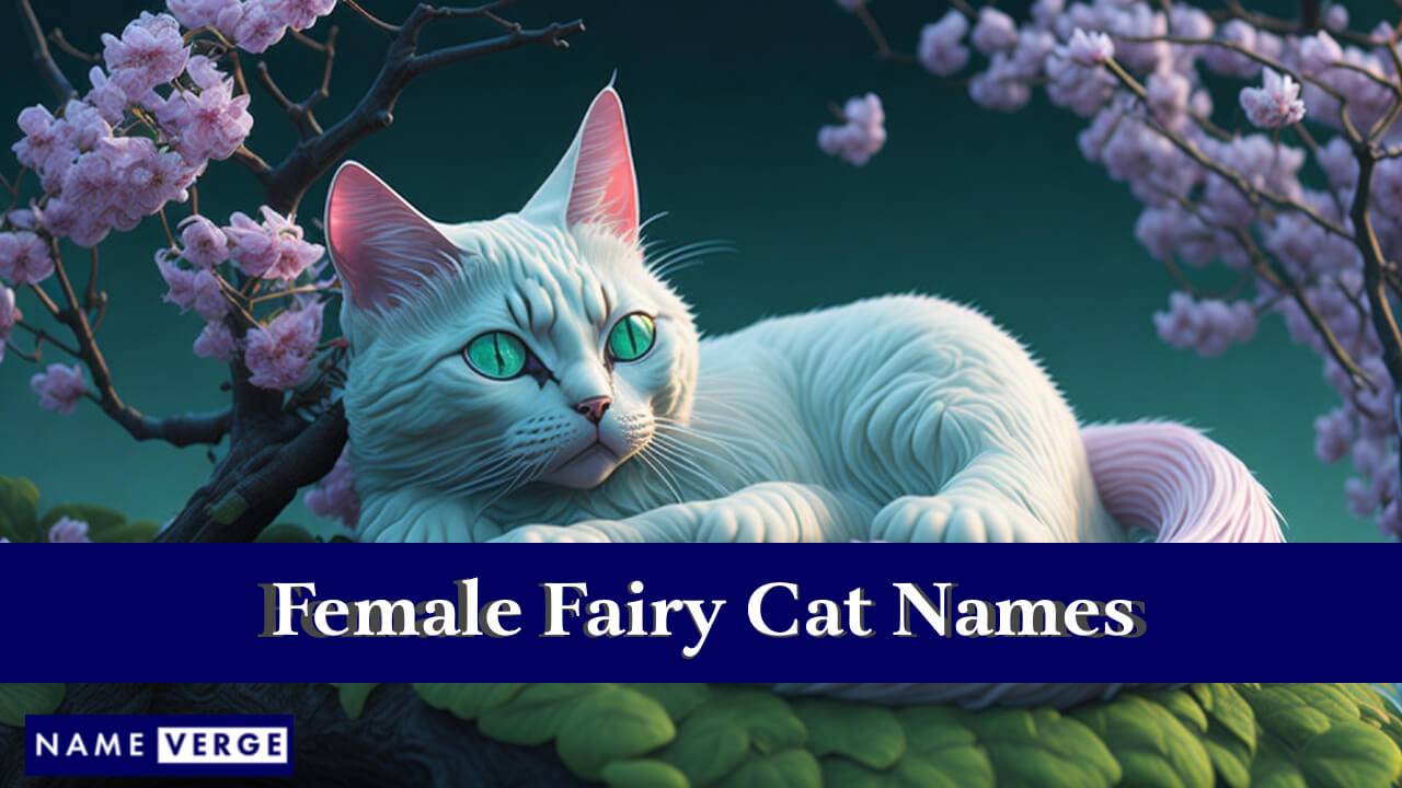 Fairy Cat Names Girls