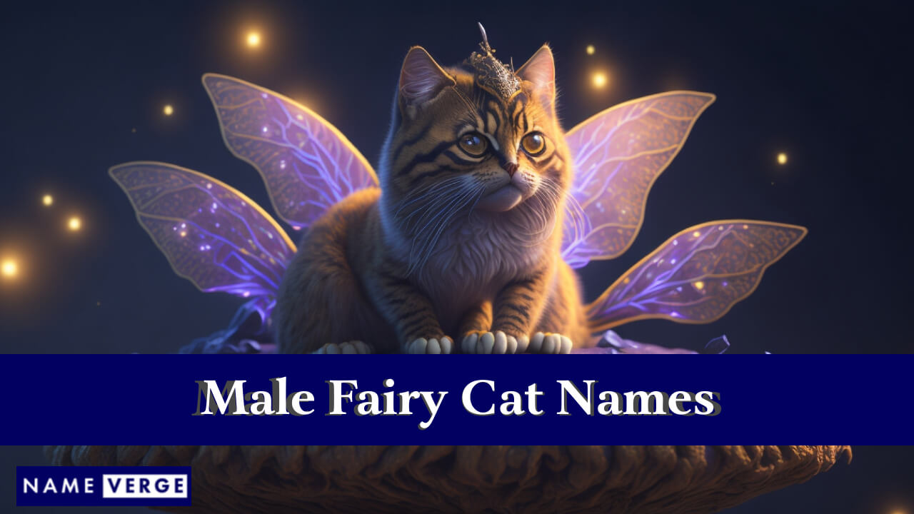 Fairy Cat Names Males