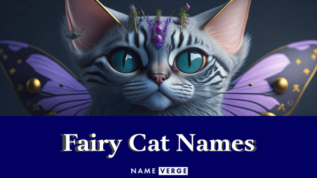 Fairy Cat Names: 299+ Cute Fairy Tale-Inspired Cat Names