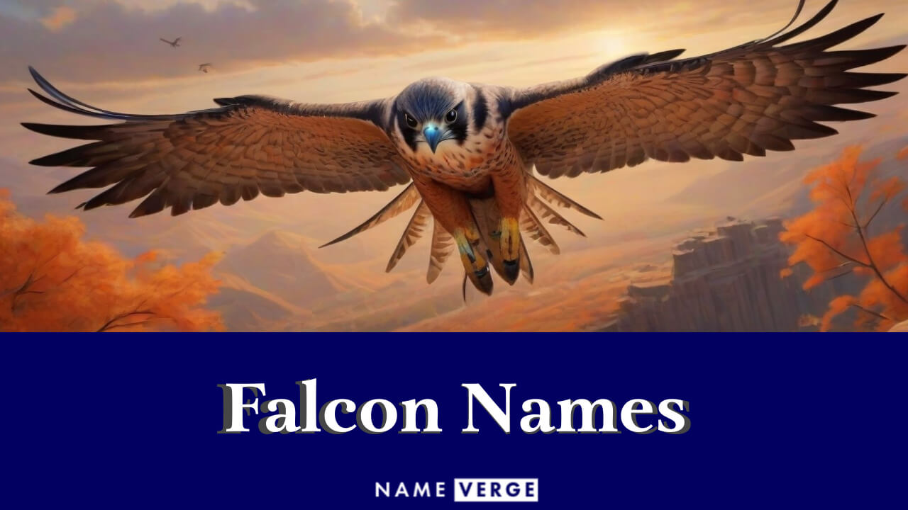 Falcon Names: 515+ Cool Names For This Agile Bird
