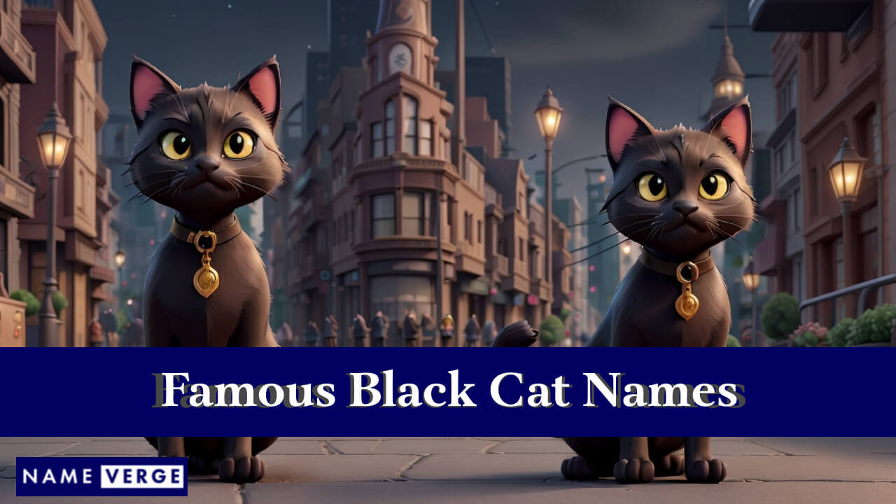 Famous Black Cat Names