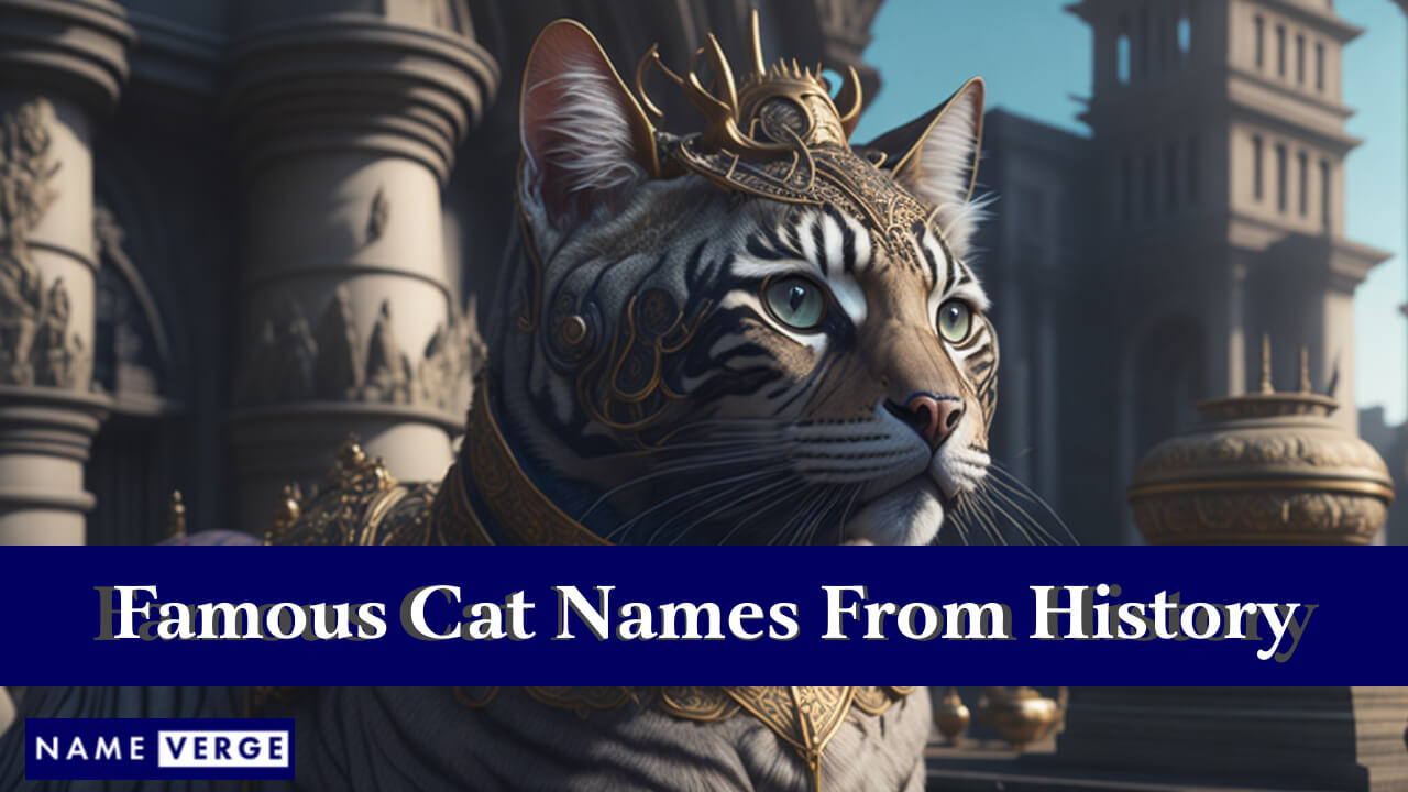 Famous Cat Names From History