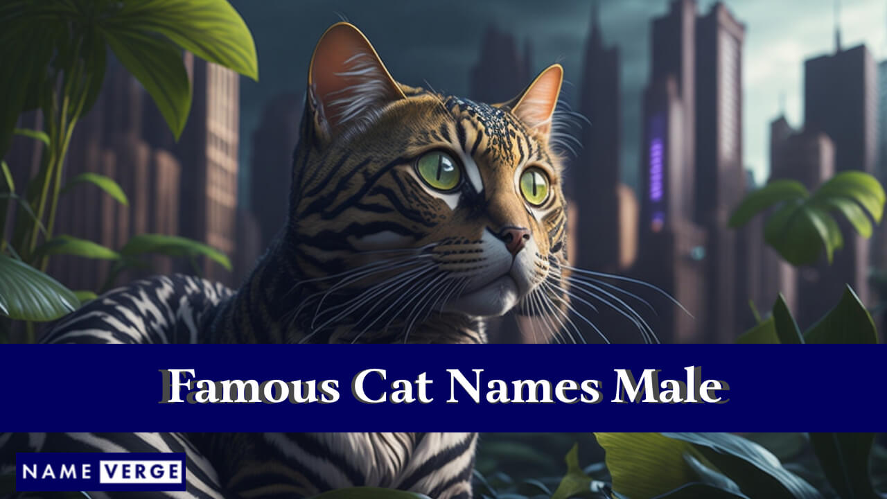 Famous Cat Names Male